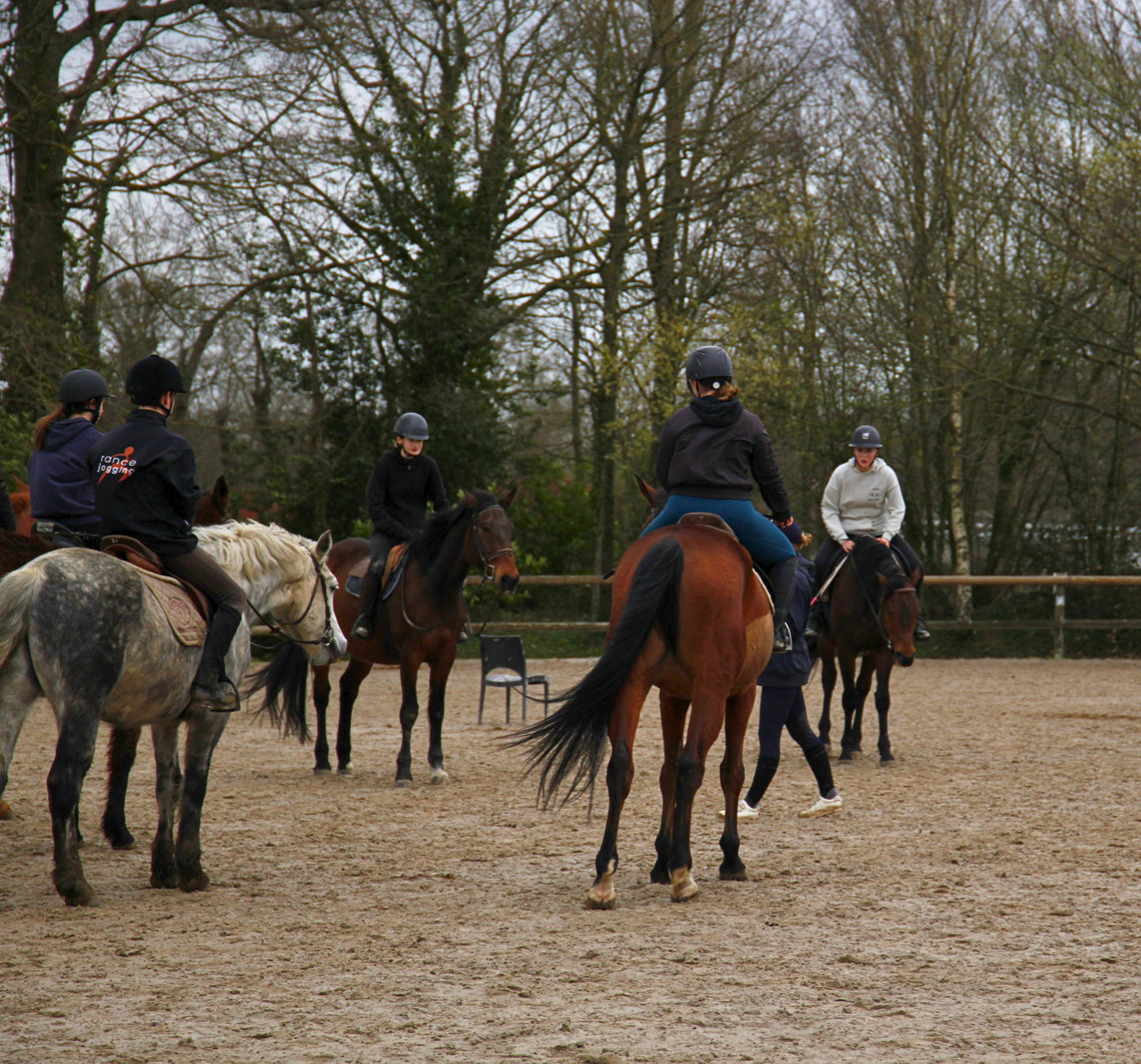 Monte_cheval_apprentissage_centre_équestre_MFR