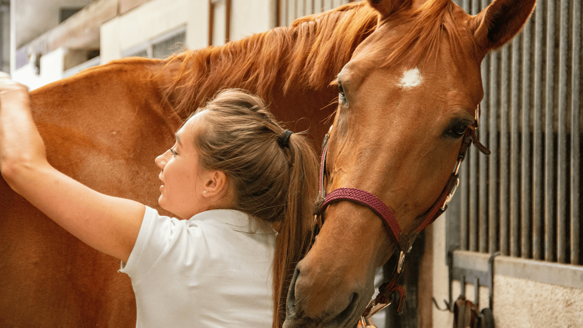 CAPa-Métiers-agriculture-cheval